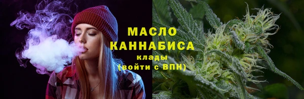 индика Братск