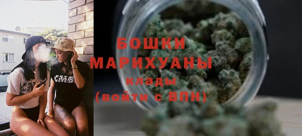 PSILOCYBIN Абдулино