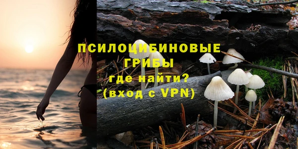 амфетамин Алексин